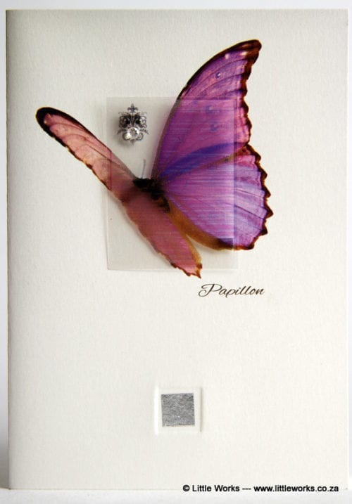 ZBF5 - Papillon Butterfly
