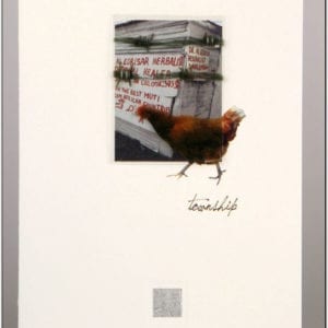 ZBC - Barbed Chicken
