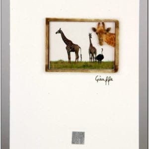ZG1 - Giraffe