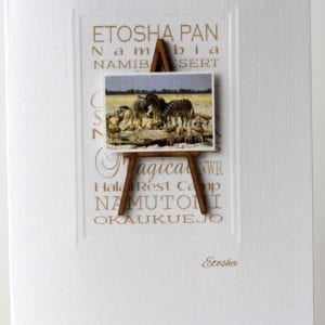 MENE1 - Etosha Pan Waterhole