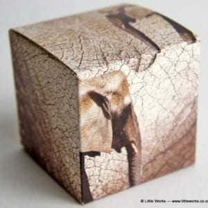 BOXS4 - Elephant Skins Gift Box (Pack of 4 boxes)